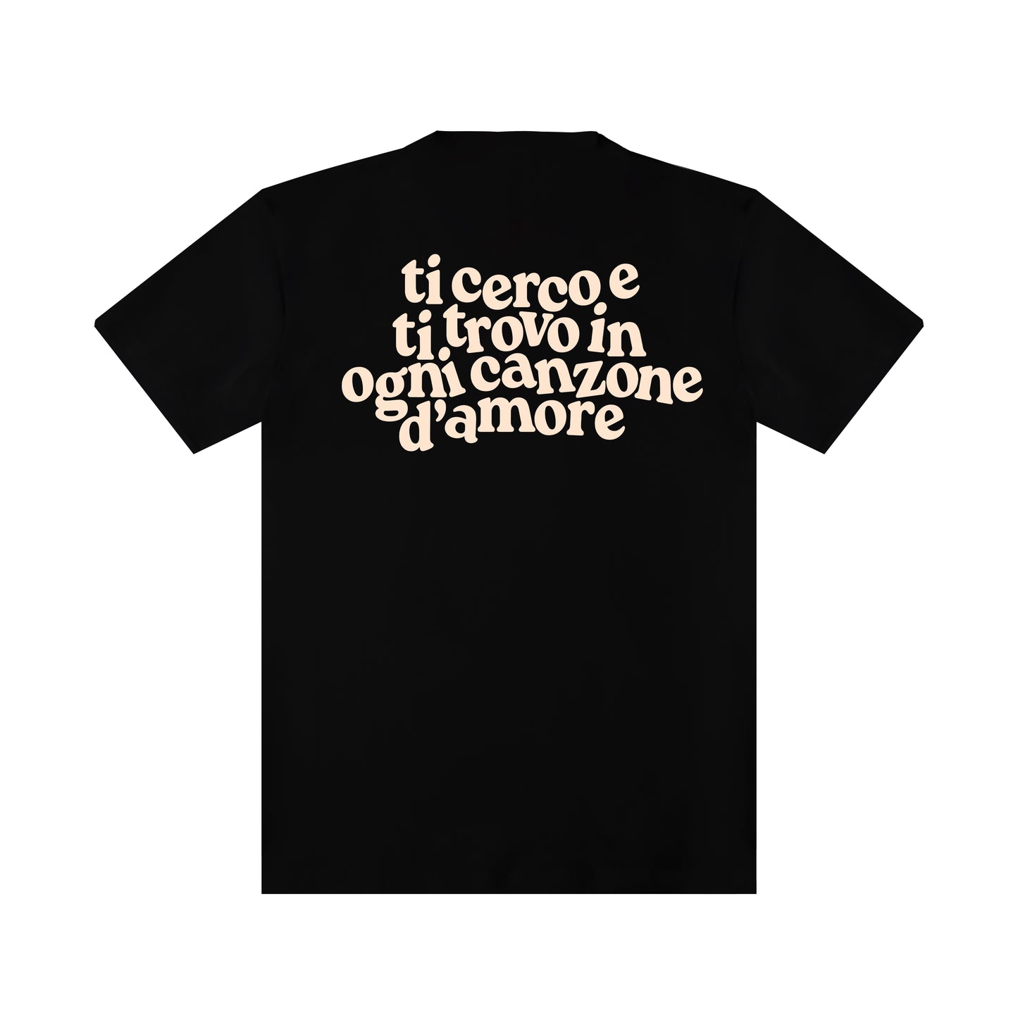 "Hug me, Get me drunk" T-shirt