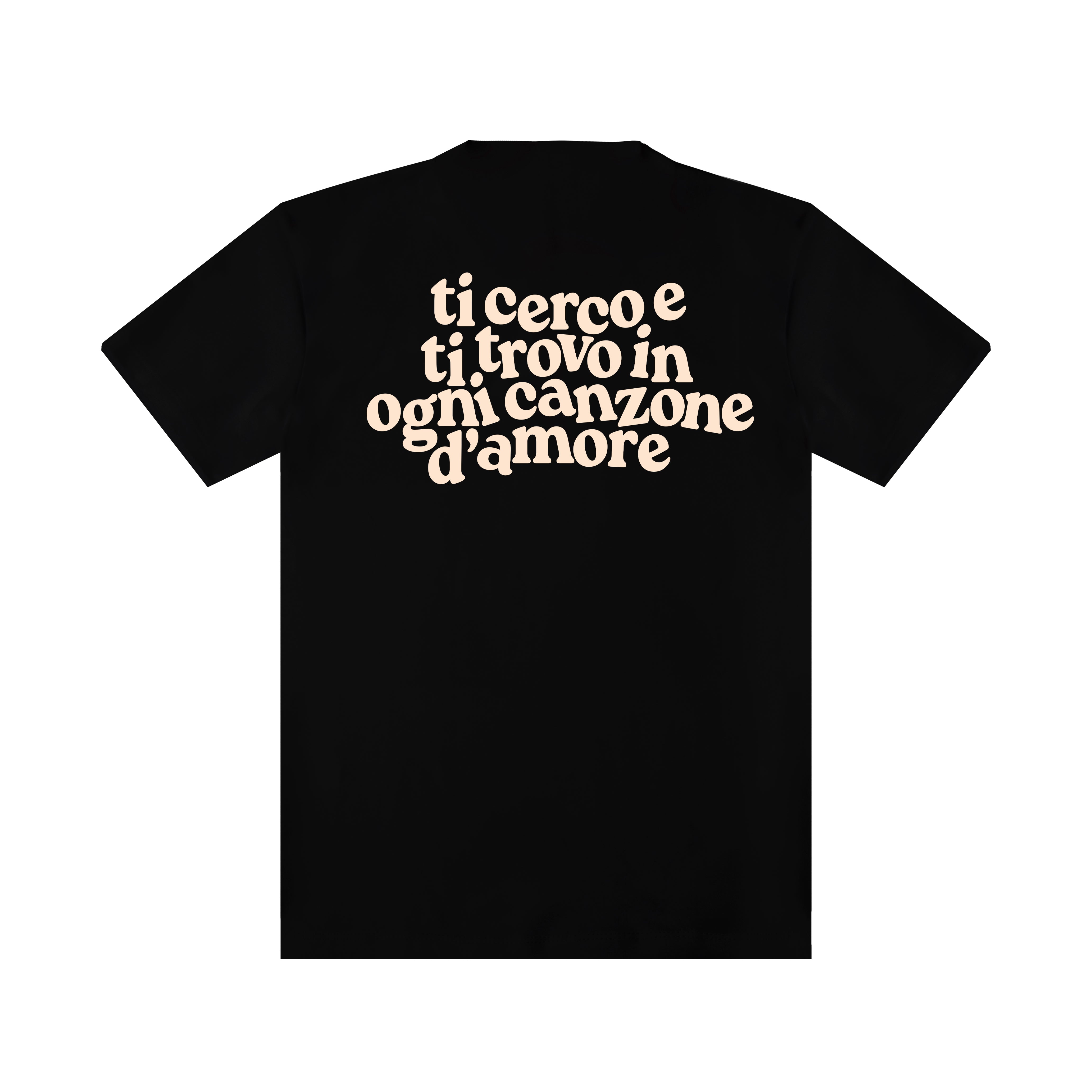 "Hug me, Get me drunk" T-shirt