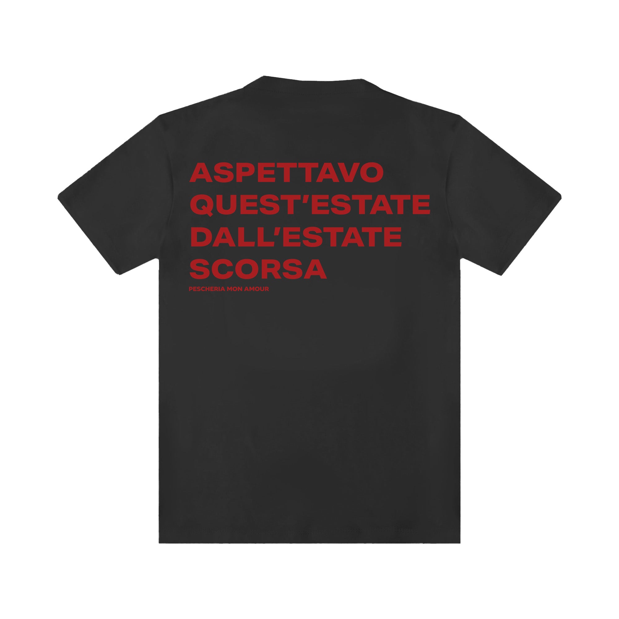 T-shirt “Aspettavo quest'estate dall'estate scorsa"