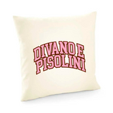 Fodera cuscino Divano e pisolini