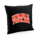 Fodera cuscino Divano e pisolini